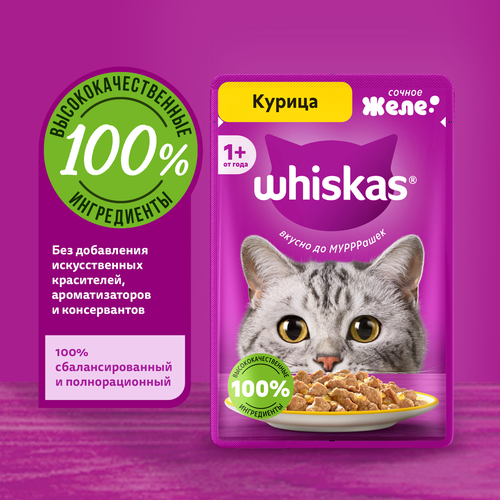 Корм консервированный для взрослых кошек WHISKAS желе с курицей, 75г, крупный план