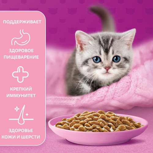 Корм консервированный для котят WHISKAS рагу с курицей 1–12 месяцев, 75г, вид