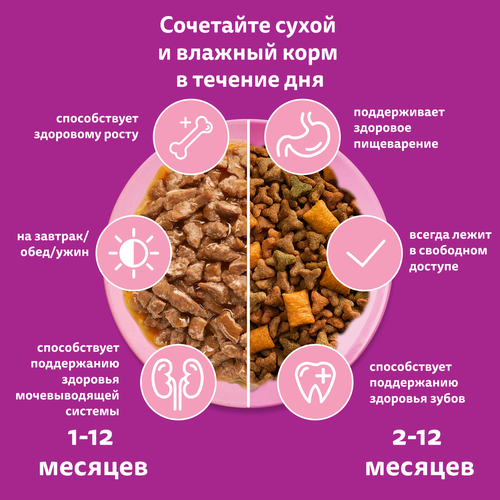 Корм консервированный для котят WHISKAS рагу с курицей 1–12 месяцев, 75г, детальное фото