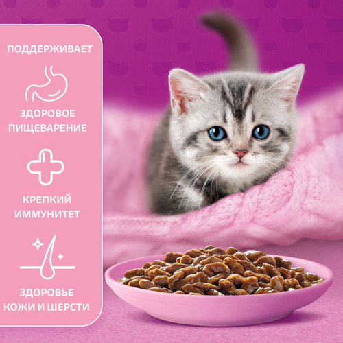 Корм консервированный для котят WHISKAS рагу с ягненком 1–12 месяцев, 75г, фото
