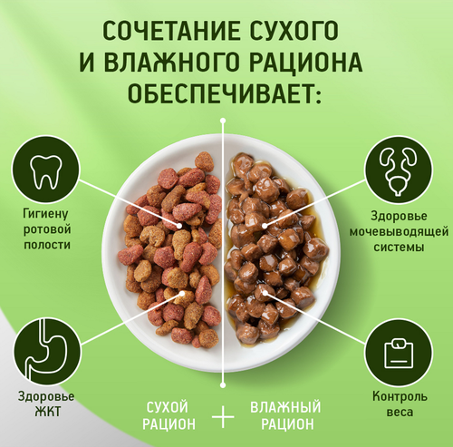 Корм консервированный для кошек Kitekat Кролик в соусе, 85г, фото