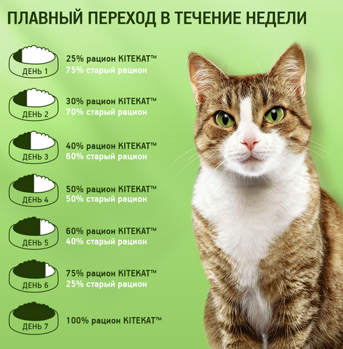 Корм консервированный для кошек Kitekat Кролик в соусе, 85г, крупный план
