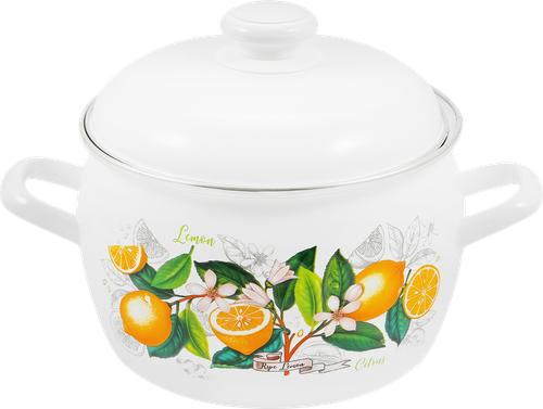 Кастрюля с крышкой ЛЫСЬВЕНСКИЕ ЭМАЛИ Белые ночи, сфера, эмалированная сталь 3.5л Арт. С-4213АП2/4, вид