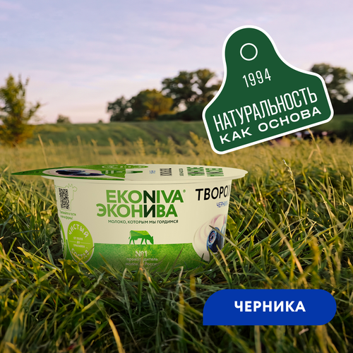 Продукт творожный ЭКОНИВА Черника 5%, без змж, 125г, фотография