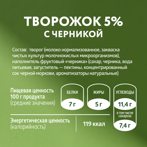 Продукт творожный ЭКОНИВА Черника 5%, без змж, 125г, детальное фото