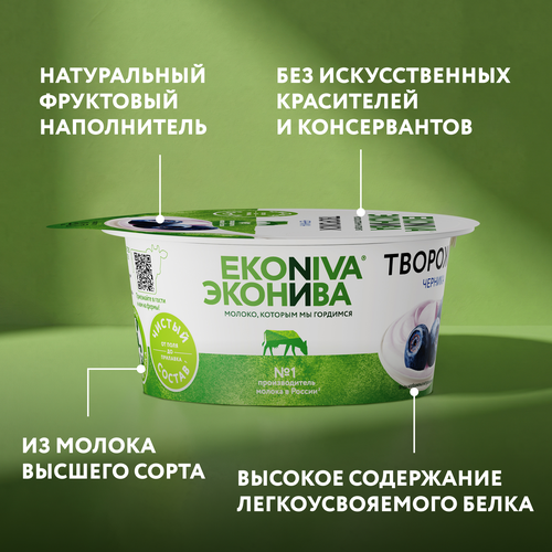 Продукт творожный ЭКОНИВА Черника 5%, без змж, 125г, фотография
