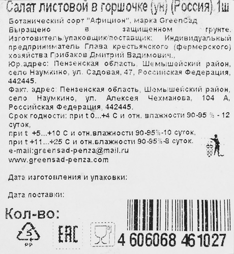 Салат листовой, в горшочке, крупный план
