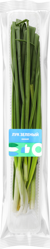 Лук зеленый ЛЕНТА свежий, 100г, изображение
