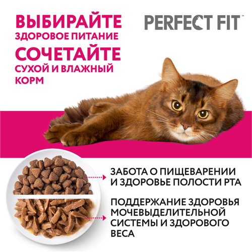 Корм консервированный для взрослых кошек PERFECT FIT Sterile с курицей в соусе, для стерилизованных, 75г, фото
