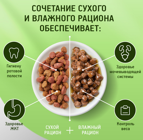 Корм консервированный для кошек Kitekat Нежный кролик в желе, 85г, крупный план