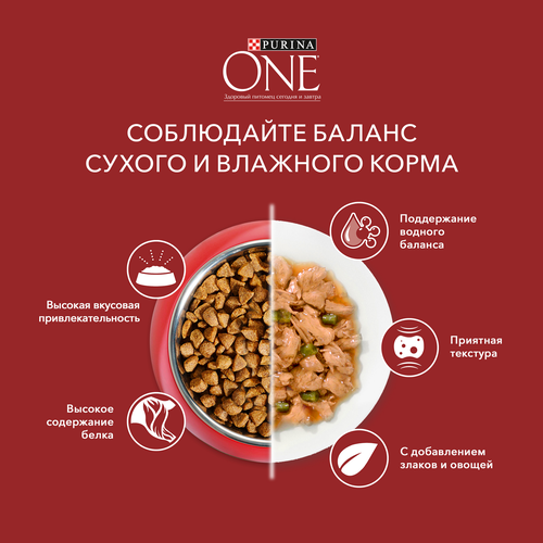 Корм сухой для взрослых собак PURINA ONE для средних и крупных пород,  с высоким содержанием ягненка и рисом, 3,8кг, детальное фото
