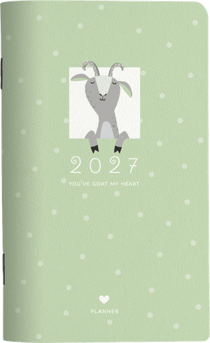 Планнер BESMART 2027, датированный, 10,8х17,5см, 32 листа, мягкий переплет, на скрепке, крупный план
