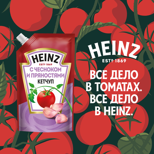 Кетчуп HEINZ С чесноком и пряностями, 320г, вид