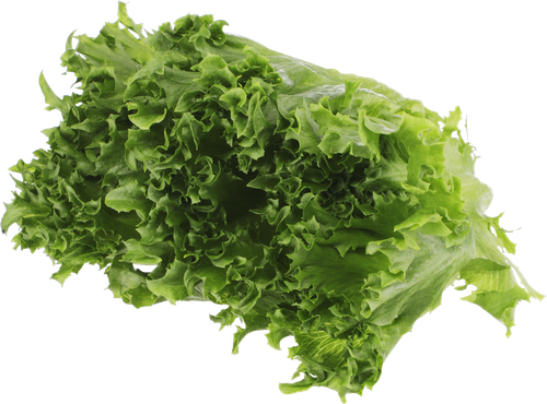 Салат листовой Фриллис ЛЕНТА FRESH, шт, детальное фото