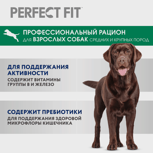 Корм сухой для взрослых собак PERFECT FIT с курицей, для средних и крупных пород, 1,4кг, фотография