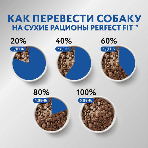 Корм сухой для взрослых собак PERFECT FIT с курицей, для средних и крупных пород, 1,4кг, фотография