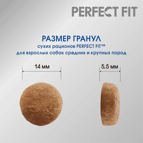 Корм сухой для взрослых собак PERFECT FIT с курицей, для средних и крупных пород, 1,4кг, крупный план