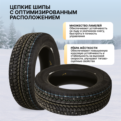 Шина зимняя VIATTI Bosco Nordico 215/65R16 98T, картинка