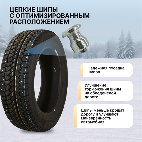 Шина зимняя VIATTI Bosco Nordico 215/65R16 98T, вид