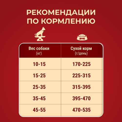 Корм сухой для взрослых собак PURINA ONE для средних и крупных пород, с высоким содержанием ягненка и рисом, 10кг, фотография