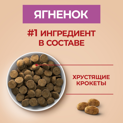 Корм сухой для взрослых собак PURINA ONE для средних и крупных пород, с высоким содержанием ягненка и рисом, 10кг, изображение
