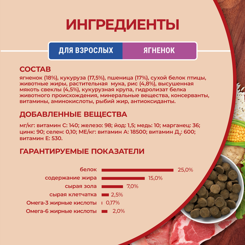 Корм сухой для взрослых собак PURINA ONE для средних и крупных пород, с высоким содержанием ягненка и рисом, 10кг, фотография