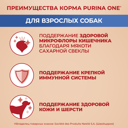 Корм сухой для взрослых собак PURINA ONE для средних и крупных пород, с высоким содержанием ягненка и рисом, 10кг, крупный план