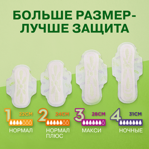 Прокладки NATURELLA Ultra Camomile Normal Plus Single, 18шт, фотография
