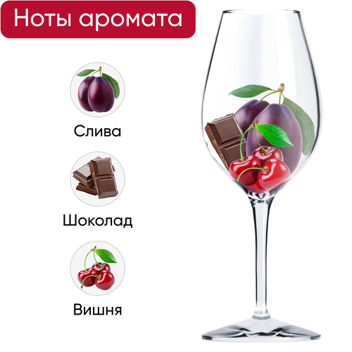 Продукция плодовая алкогольная VINYAN Сливовая полусладкая, 0.75л, детальное фото