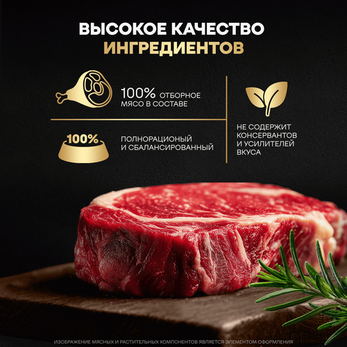 Корм влажный для собак CESAR Стейк Сочная говядина, 80г, крупный план