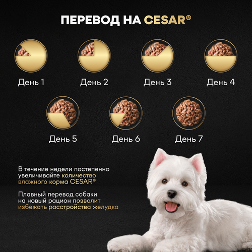 Корм влажный для собак CESAR Стейк Сочная говядина, 80г, крупный план