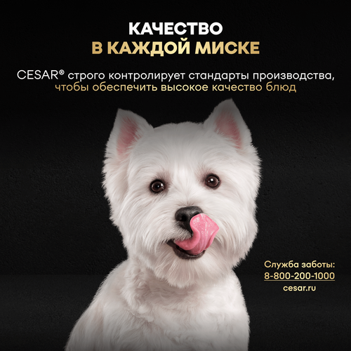 Корм влажный для собак CESAR Стейк Сочная говядина, 80г, фотография
