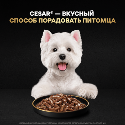 Корм влажный для собак CESAR Стейк Сочная говядина, 80г, крупный план