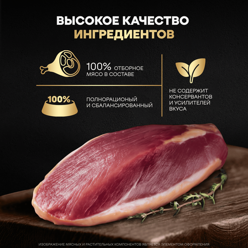 Корм влажный для собак CESAR Стейк Нежная утка, 80г, вид