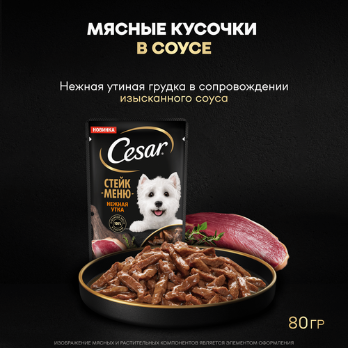 Корм влажный для собак CESAR Стейк Нежная утка, 80г, изображение