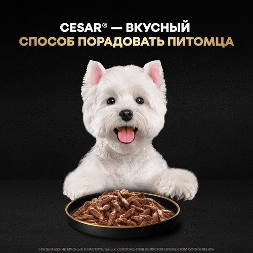 Корм влажный для собак CESAR Стейк Нежная утка, 80г, фотография