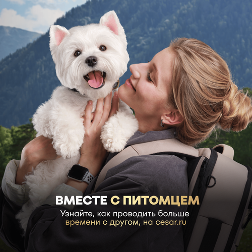 Корм влажный для собак CESAR Стейк Нежная утка, 80г, вид