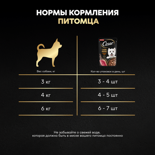 Корм влажный для собак CESAR Стейк Нежная утка, 80г, фото