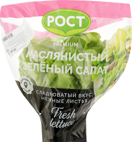 Салат Маслянистый, в горшочке, изображение