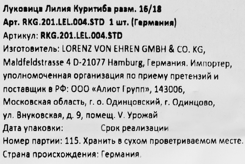 Луковица Лилия Куритиба 16/18, Арт. RKG.201.LEL.004.STD, фотография