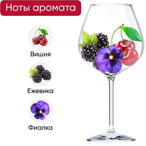 Вино ROBERTO SAROTTO Monferrato Rosso Пьемонт красное сухое, 0.75л, фотография