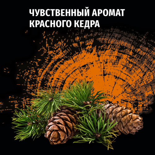 Дезодорант-спрей мужской ФА Men Красный кедр, 150мл, фото