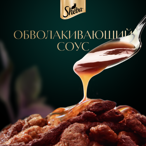 Корм консервированный для взрослых кошек SHEBA ломтики в соусе с лососем, 75г, фото