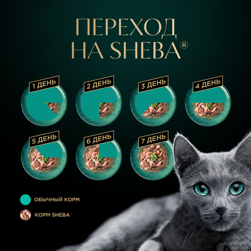 Корм консервированный для взрослых кошек SHEBA ломтики в соусе с лососем, 75г, детальное фото