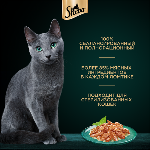 Корм консервированный для взрослых кошек SHEBA ломтики в соусе с курицей и индейкой, 75г, картинка