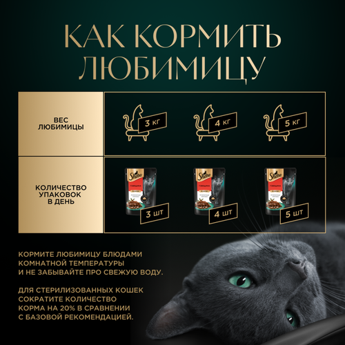 Корм консервированный для взрослых кошек SHEBA ломтики в соусе с говядиной, 75г, крупный план