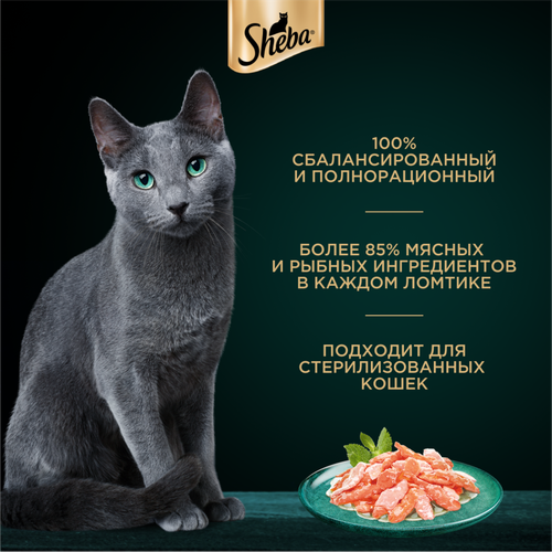 Корм консервированный для взрослых кошек SHEBA ломтики в соусе с форелью и креветками, 75г, картинка