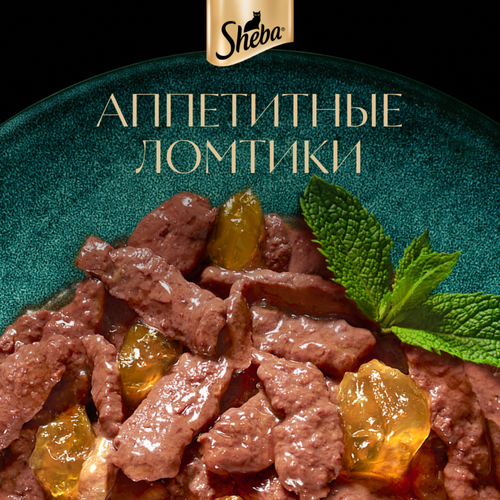 Корм консервированный для взрослых кошек SHEBA ломтики в желе с кроликом, 75г, крупный план
