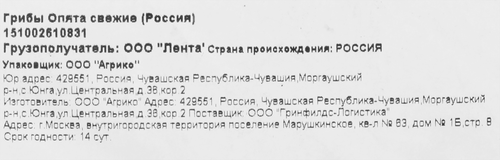Опята свежие, 200г, фотография