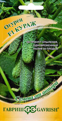 Семена ГАВРИШ Семена от автора, Огурец Кураж, Арт.5327, 10шт, вид
